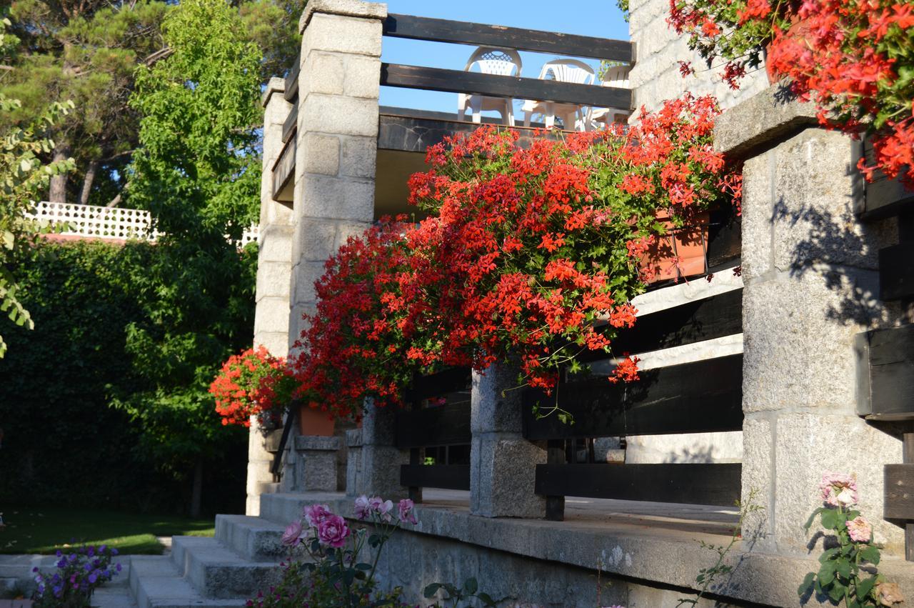 Posada Rural La Flor Las Navas Del Marques Ngoại thất bức ảnh